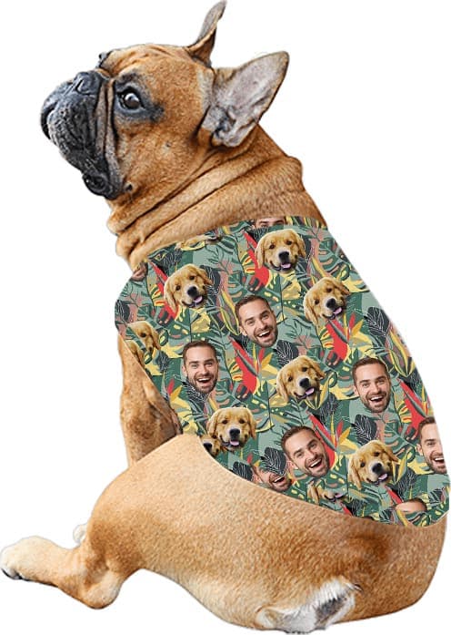 Custom dog