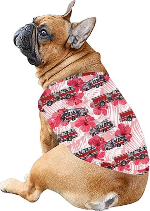 Hibiscus dog