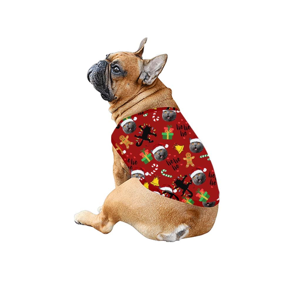 Christmas dog