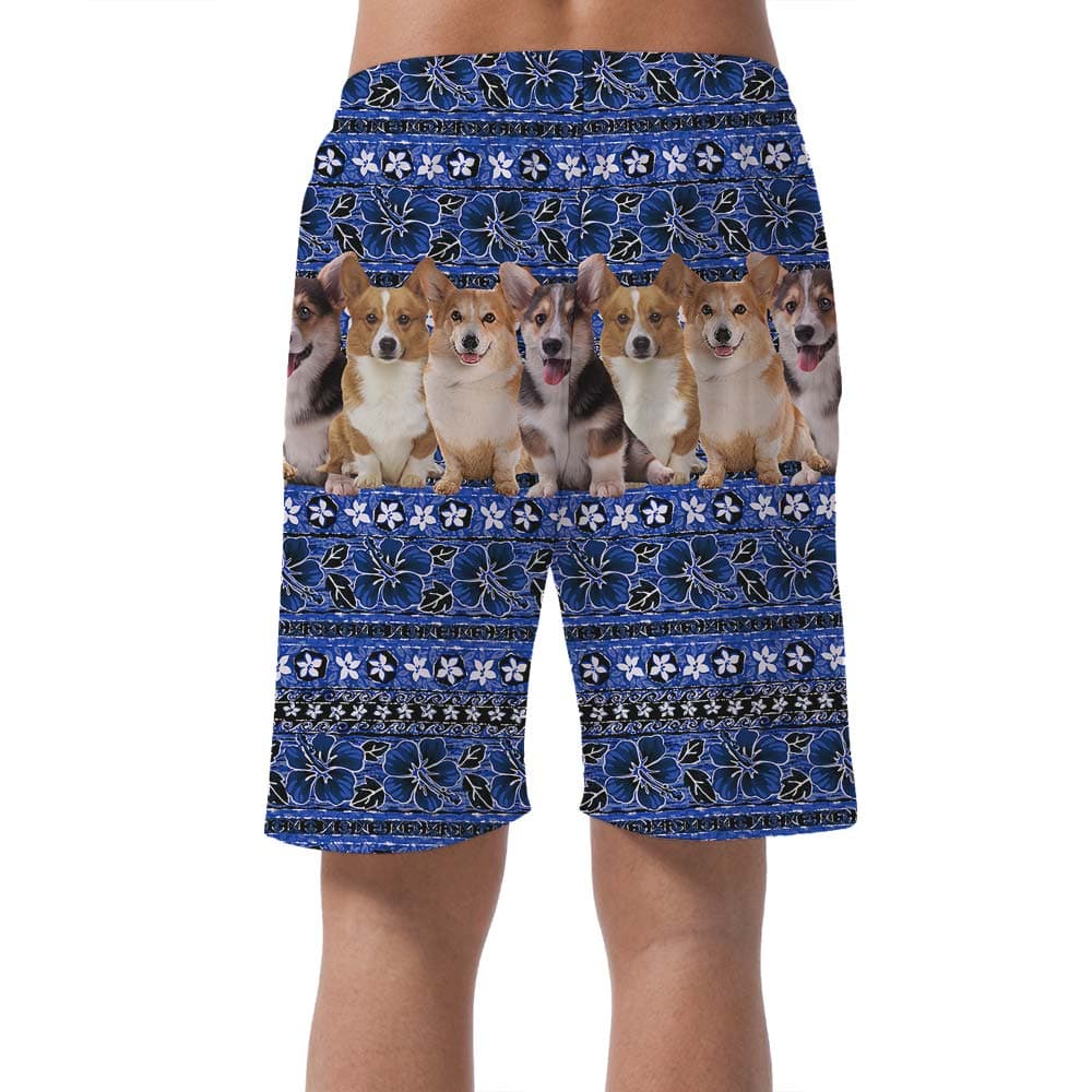 Corgi 11