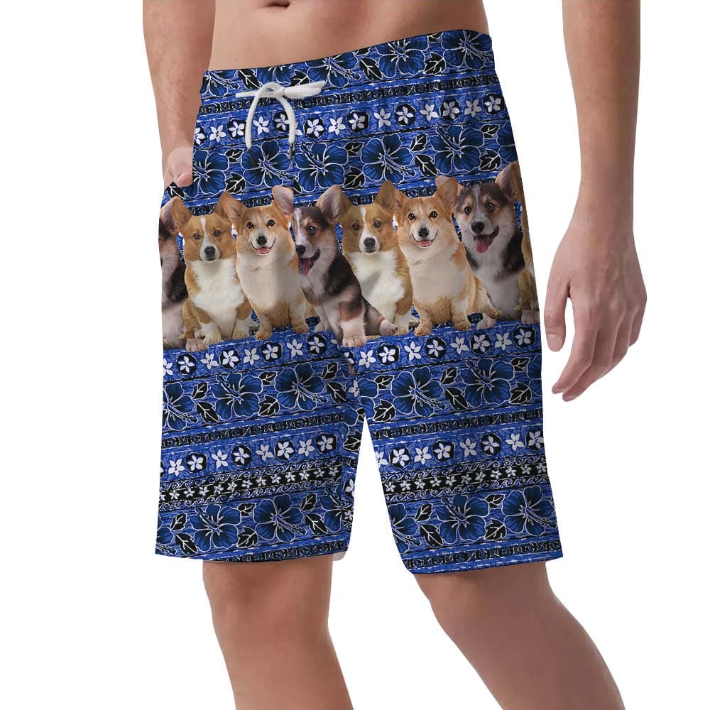 Corgi 13
