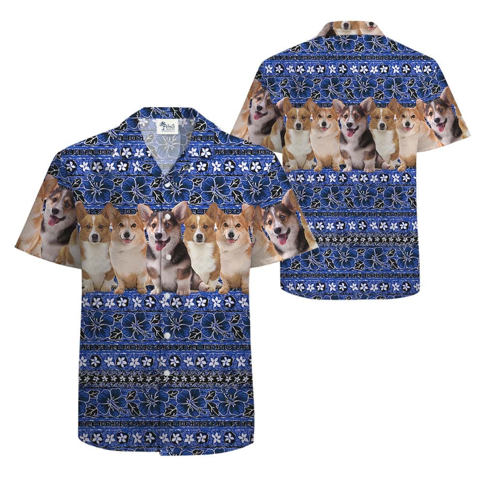 Corgi 2
