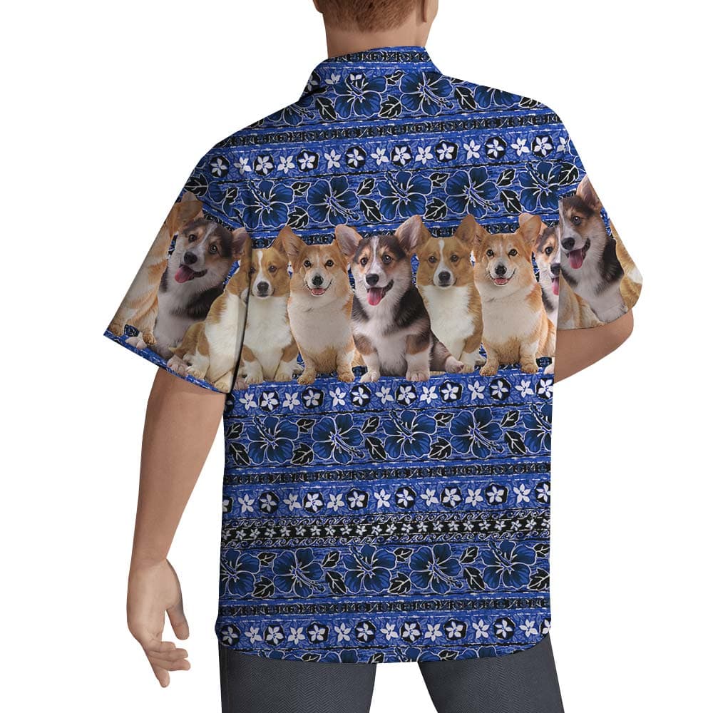 Corgi 3