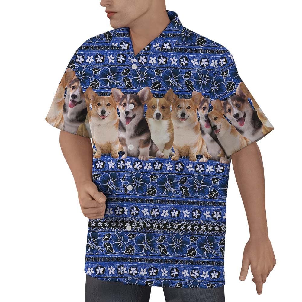 Corgi 4