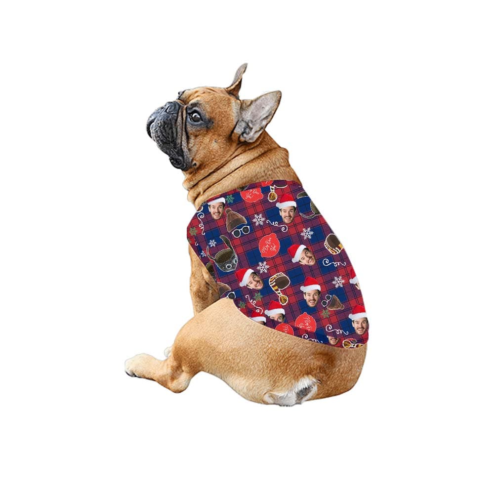 Plaid dog