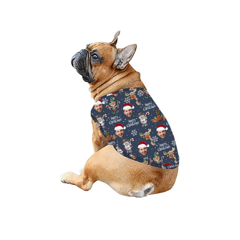 Reindeer dog