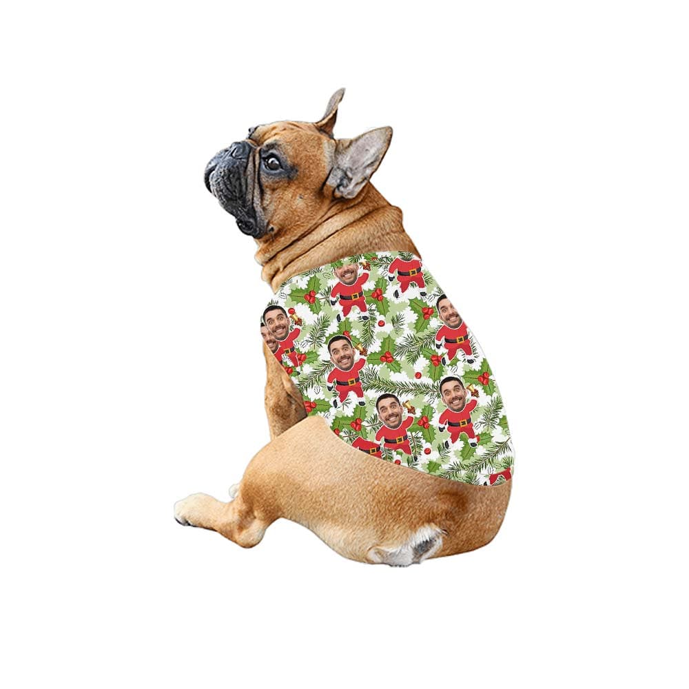 Santa dog
