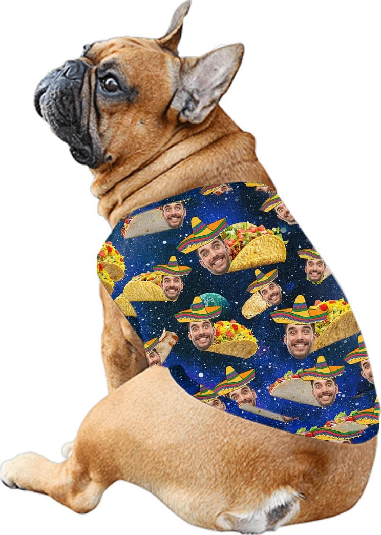 Taco dog
