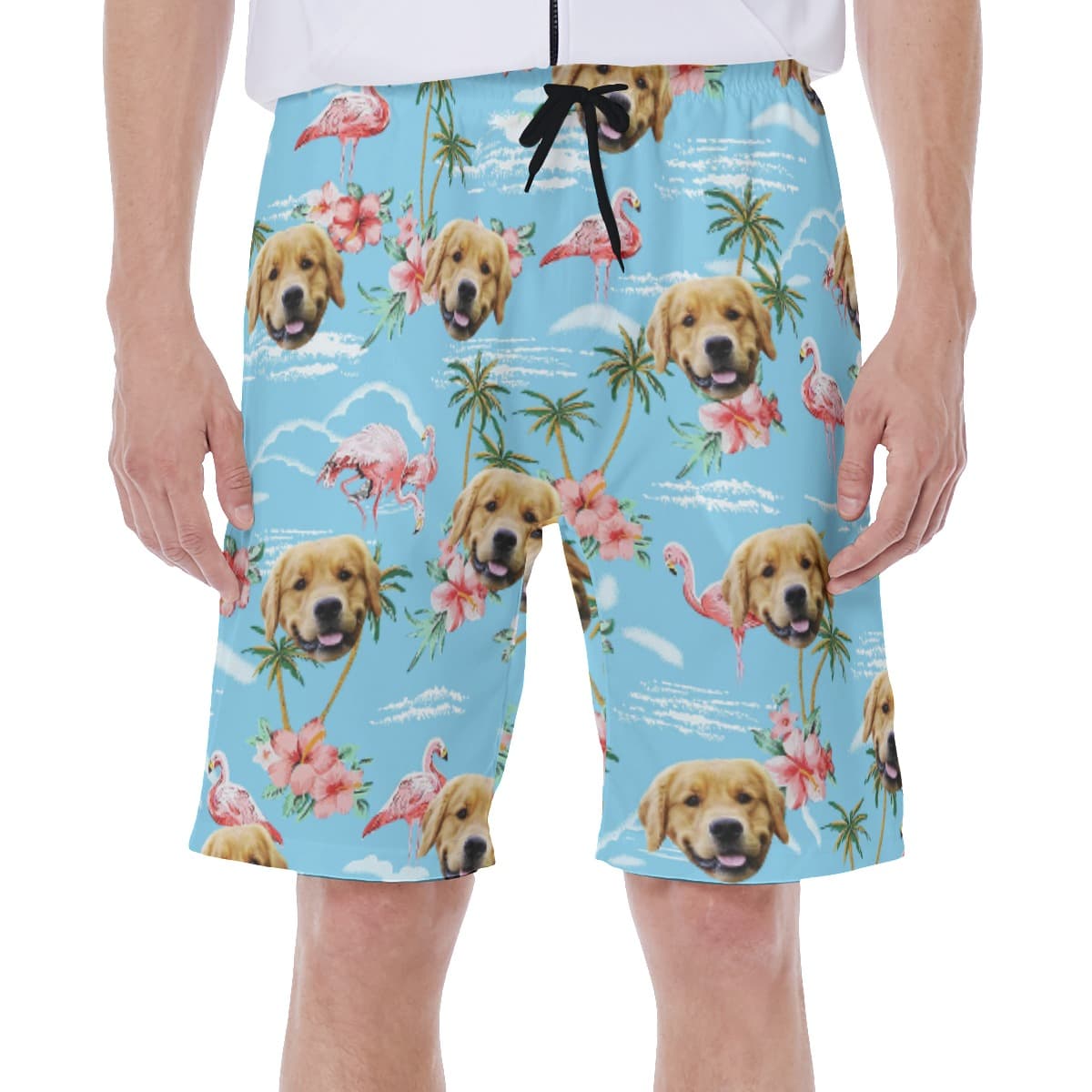 Light Blue Flamingo Custom Dog Face Men's Shorts (1)