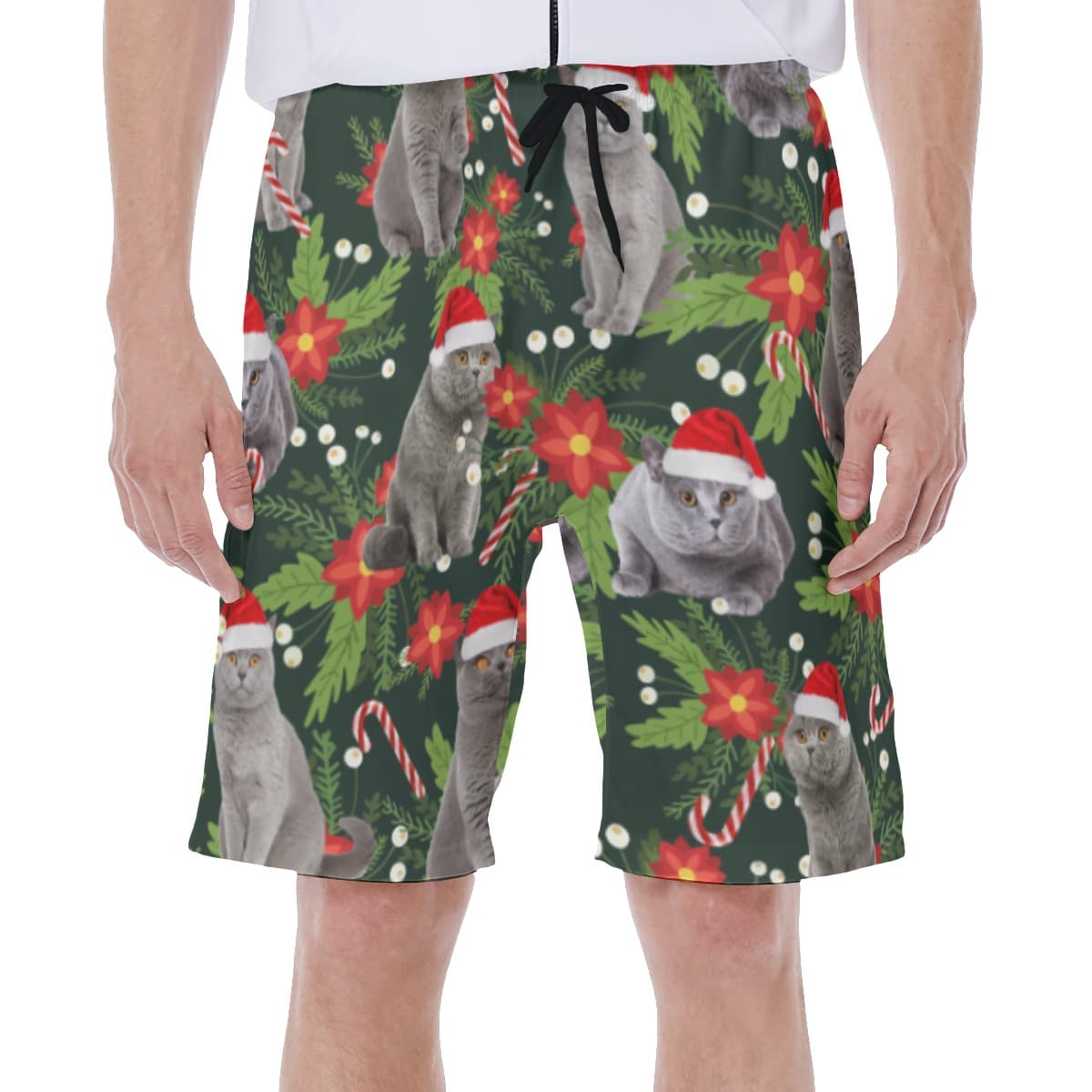 Funny Christmas Cat Tropical Hawaiian Swim Trunks For Men