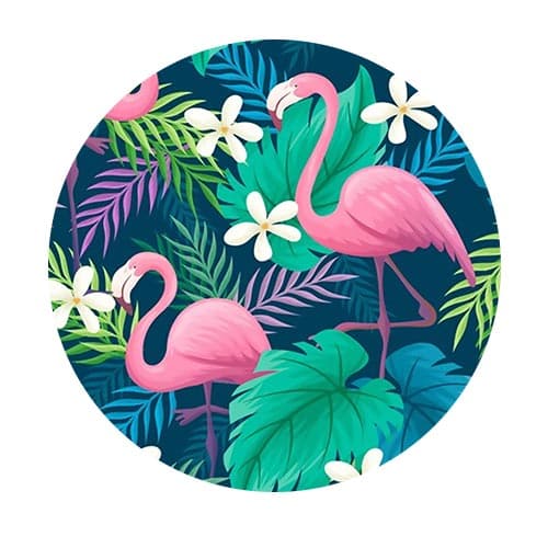 Wildlife & Fauna
